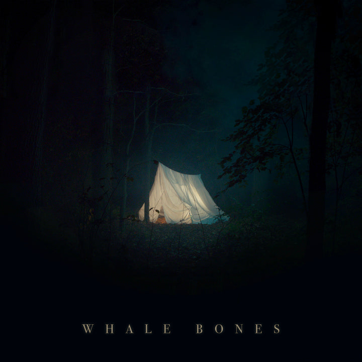 Whale Bones - Close All the Blinds (2020) CD w/ Digipak